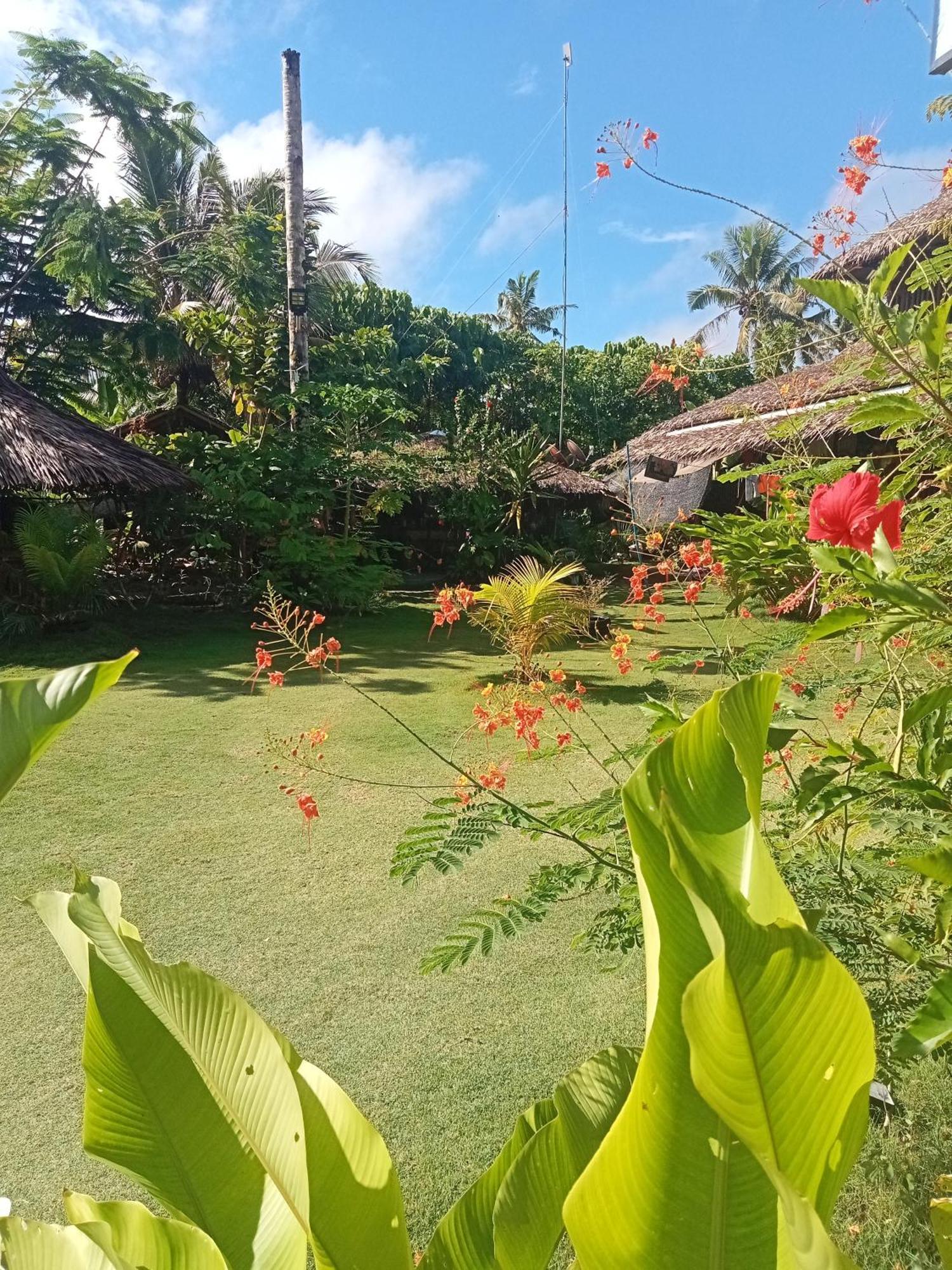 Weeroona Huts Homestay Pacifico San Isidro  Exterior foto